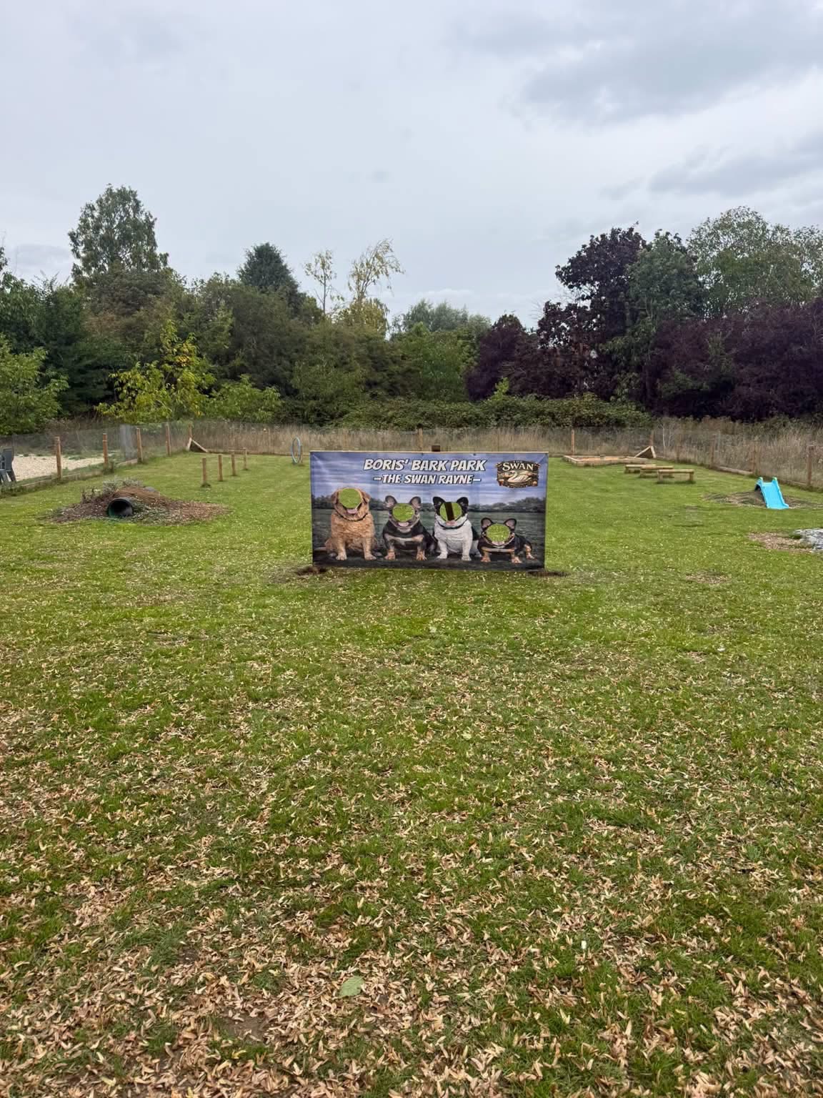 Boris's Bark Park at The Swan Rayne